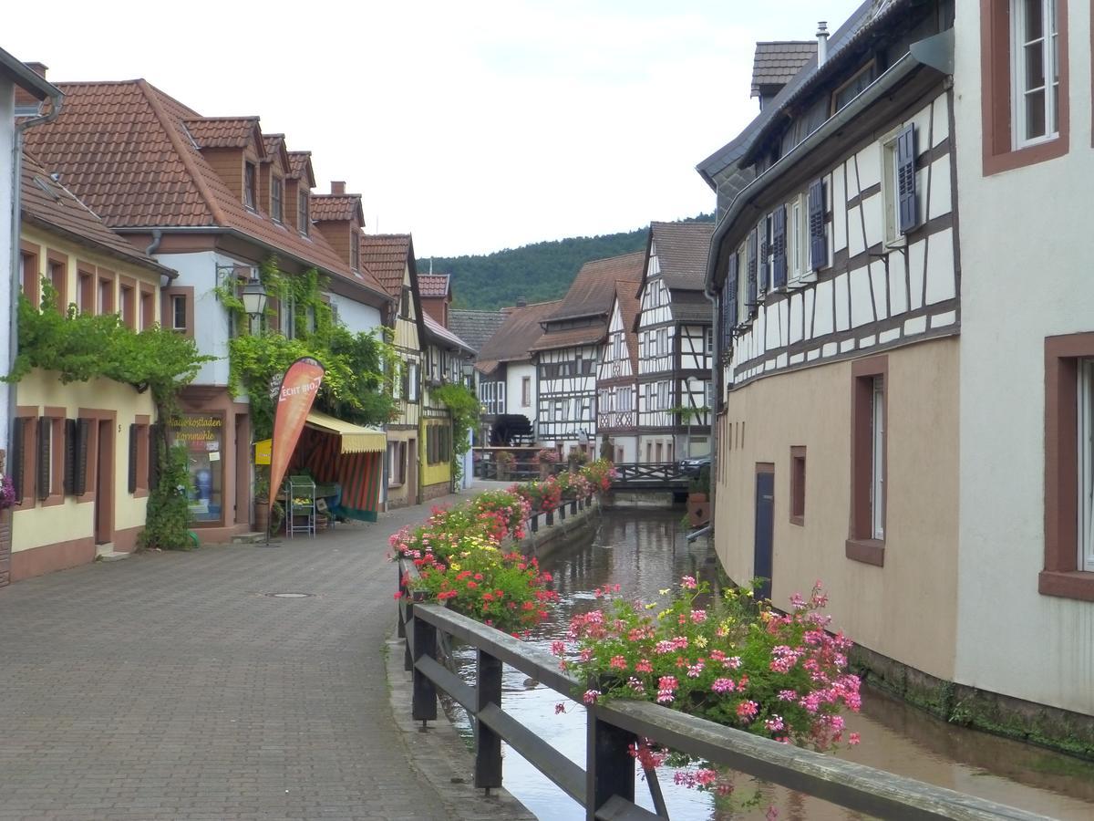 Villa Waldfrieden - Design Trifft Budget Annweiler am Trifels Esterno foto